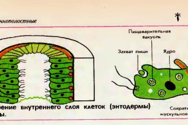 Ссылка на кракен 14ат