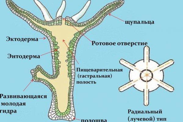 Как восстановить аккаунт в кракен